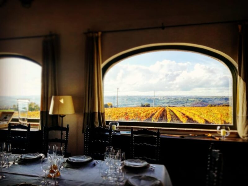 COTARELLA FAMILY, NEAR ORVIETO WINE TASTE AND VISIT - Food Pairing