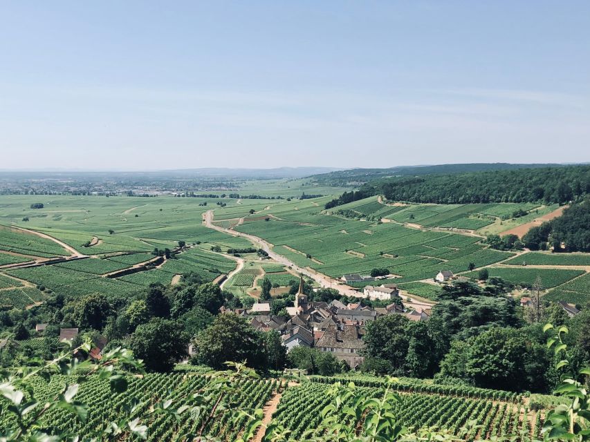 Côte De Beaune and Côte De Nuits: Private Full Day Wine Tour - Wineries Visited