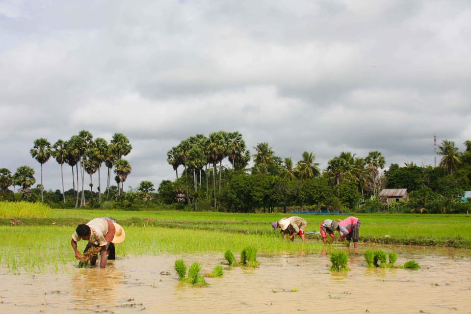 Country Cycling & Homemade Lunch in Siem Reap - Experience and Interaction