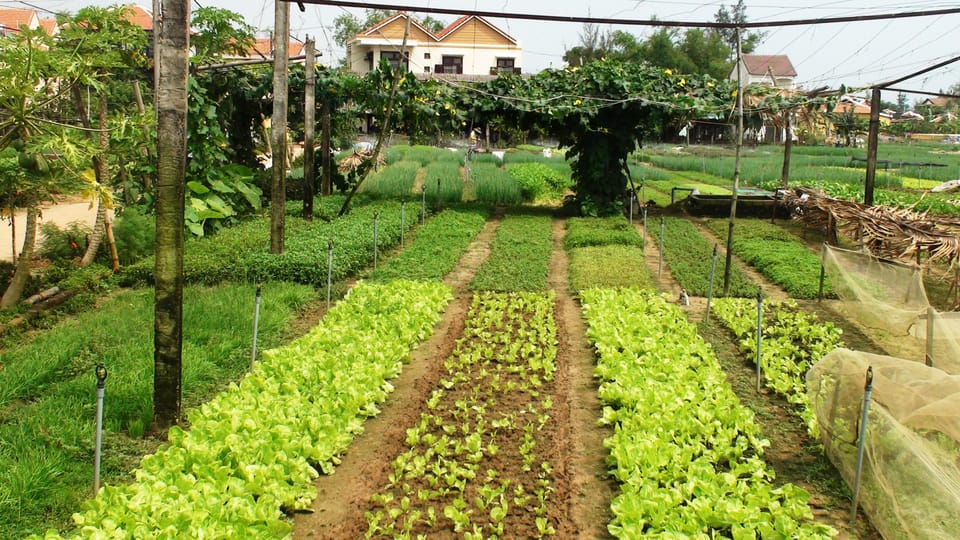 Countryside Bike Tour, Basket Boat and Cooking Class - Unique Experiences