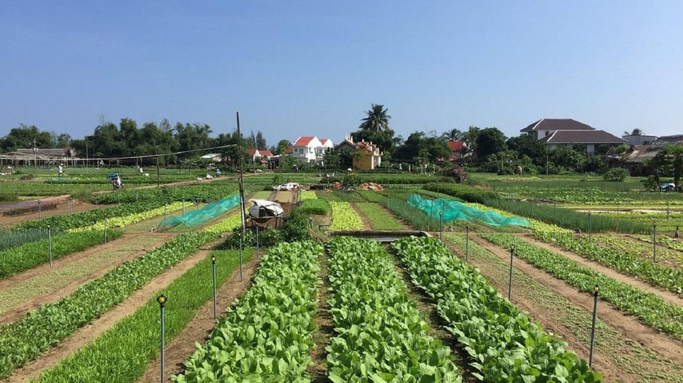 Countryside Biking -Farming -Market -Cooking Class In Hoi An - Inclusions and Amenities