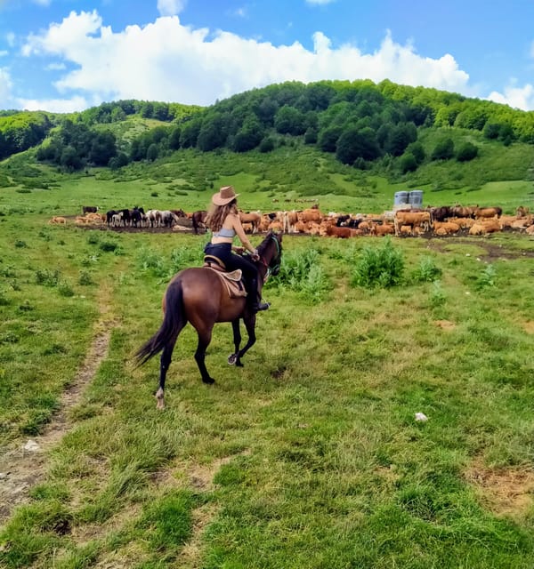 Cowboy Adventure Day Around Rome - Transportation Options