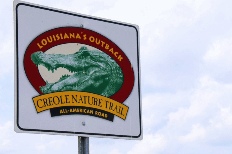 Creole Nature Trail: Scenic Routes Driving Tour - Meeting Point and Preparation