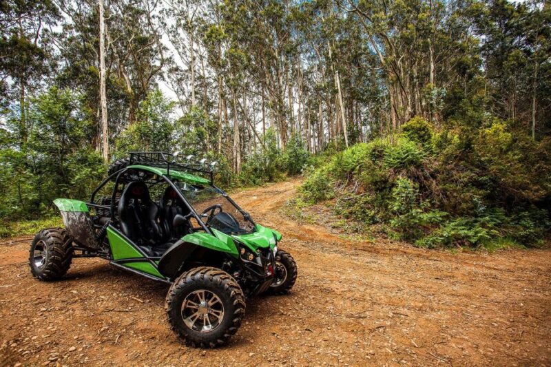 Crete Buggy Safari - Vehicle and Safety Information