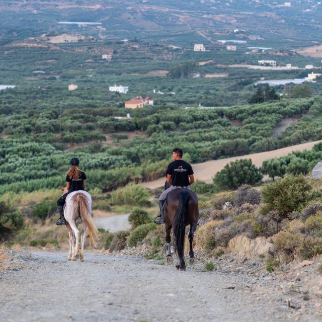 Crete Horse Riding: Cretan Countryside Ride - Horse Breeds and Care