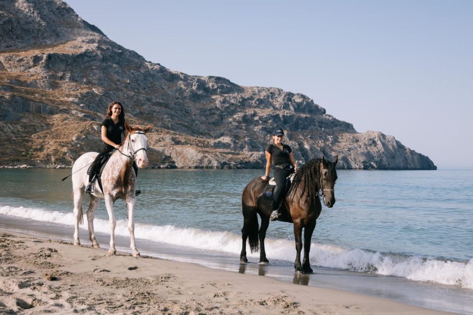 Crete Horse Riding: Plakias Beach Ride - Reviews and Ratings