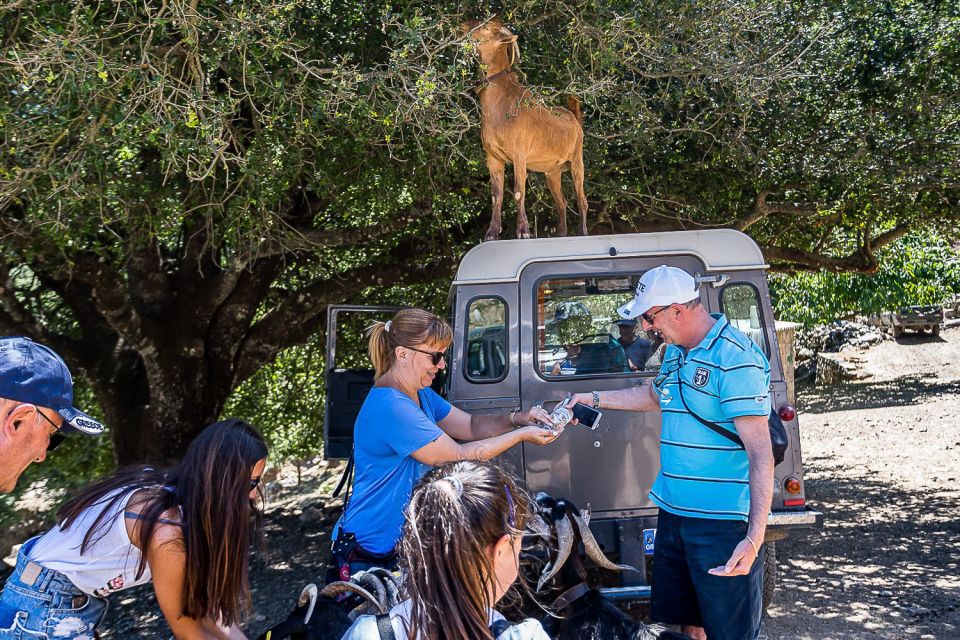 Crete: Land Rover Safari on Minoan Route - Customer Experience and Reviews