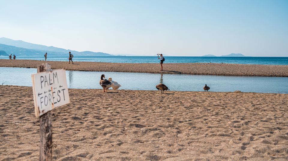 Crete: Preveli Tropical Beach and Palm Forest - Participant Suitability