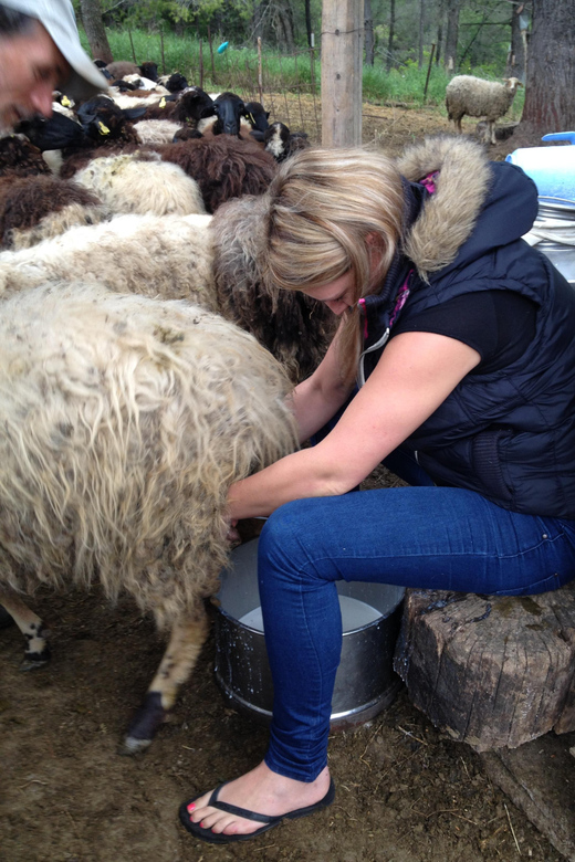 Crete: Shepherds House- Traditional Villages - Experiences - Meeting Point and Directions