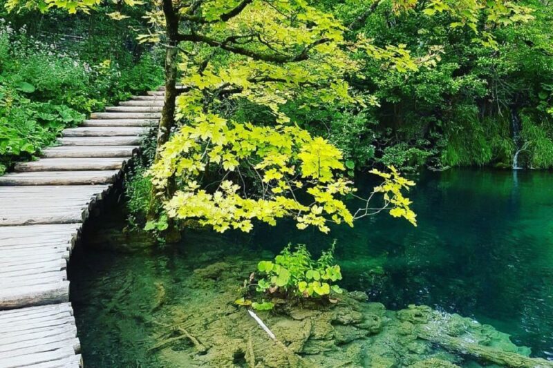 Croatia: Plitvice Lakes Private Tour With Hotel Pickup - Inclusions and Restrictions