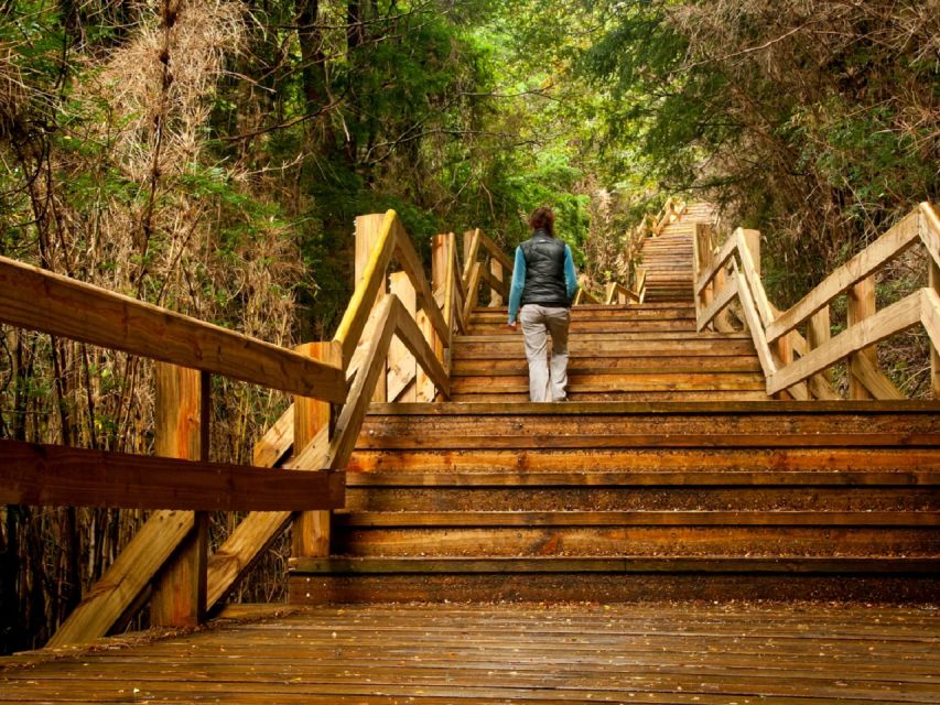 Crossing to Puerto Blest and Cascada De Los Cántaros - Customer Reviews