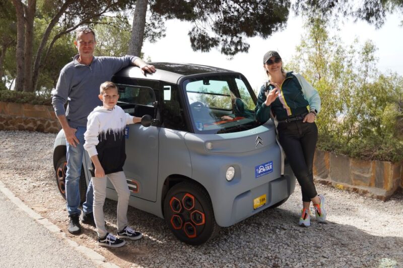Cruise Terminal Pickup. Malaga in 2 Hours by Electric Car - Booking and Meeting Information