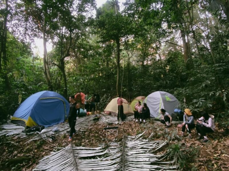 Cuc Phuong National Park: Trek & Camp in Jungle 2 Days - Whats Included in the Tour