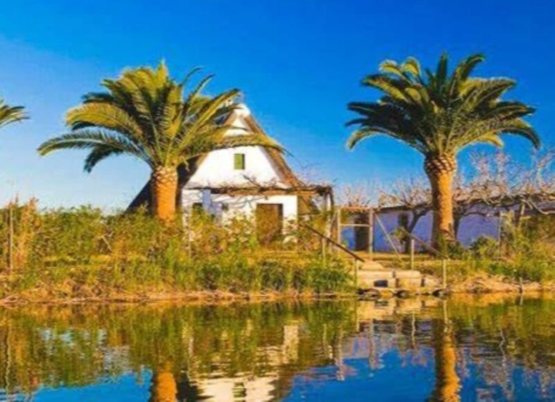 Cullera: History, Beach, and the Boat Trip to the Albufera - Boat Trip in Albufera Valenciana