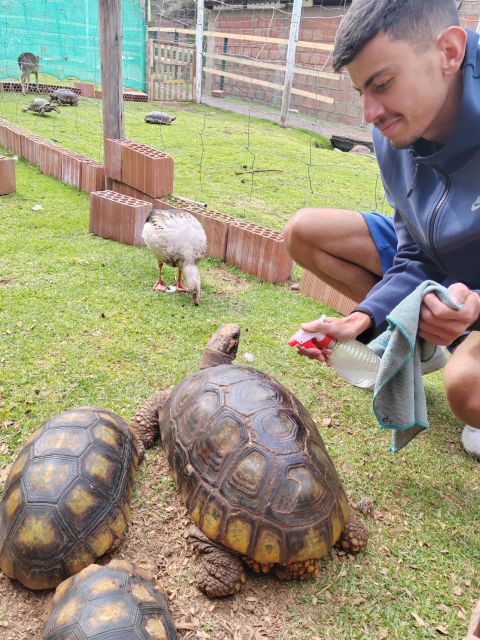 Cusco: Sanctuary of Animals Rescued Cochahuasi - Animal Interaction Experience