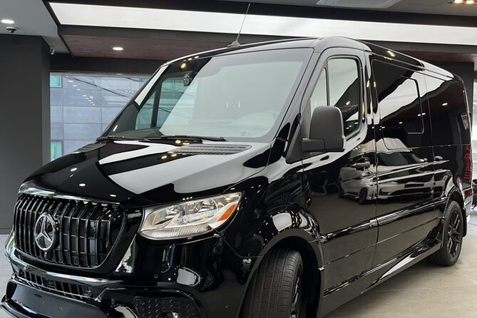 Customizable Private Seoul Tour in Luxury Van for VIP - Customer Experience