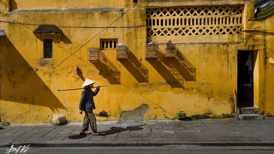 Da Nang: Half-Day Hoi An Old Town and Coconut Forest Tour - Important Tour Information