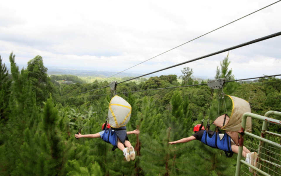 Dahilayan - Asia's Longest Dual Zipline (Private Tour) - Pricing and Booking