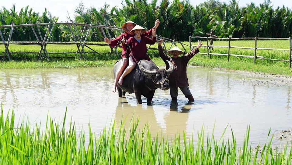 Daily TOUR HOI an COUNTRYSIDE BIKE TOUR Without Meal - Exclusions to Consider