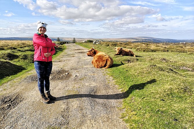 Dartmoor Tour in Luxury Mercedes 7 X Seater - Pickup and Itinerary Details