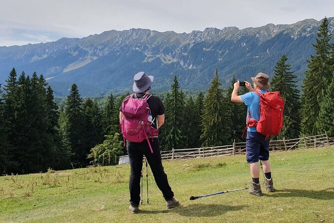 Day Hike in Carpathian Mountains for All Levels in Five Areas - Hiking Experience