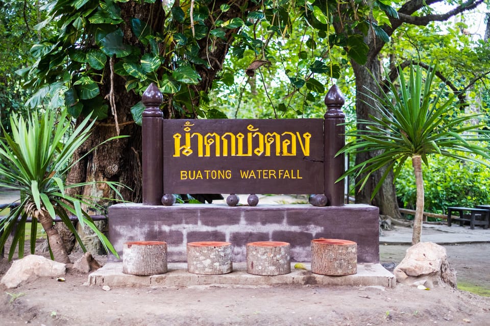 Day Tour in Chiang Mai I Waterfall I Dantewada I Doi Suthep - Inclusions and Safety