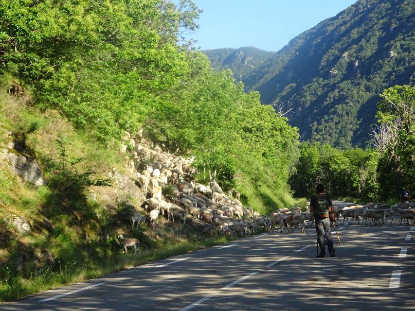 Day Trip From Nîmes to UNESCO Mountains of Cevennes - Cultural Significance of Cevennes