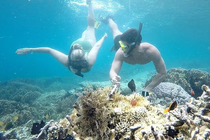 Day Trip Secret Island West Of Lombok - Gili Gede Relaxation