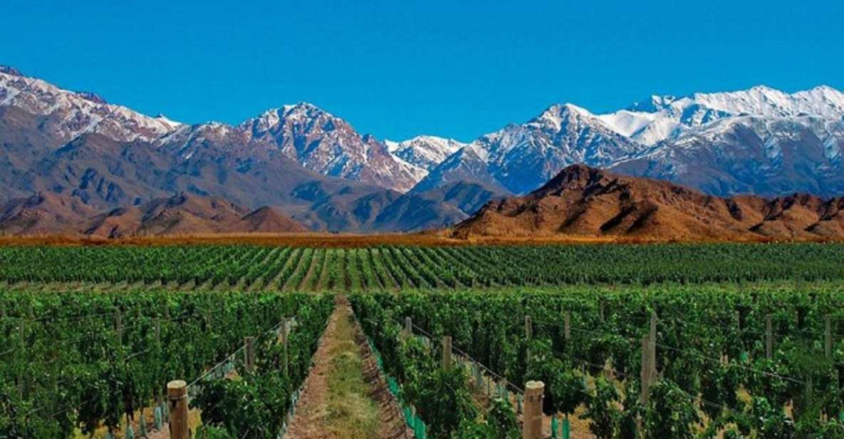 Daytour to Mendoza Wineries - Booking Information