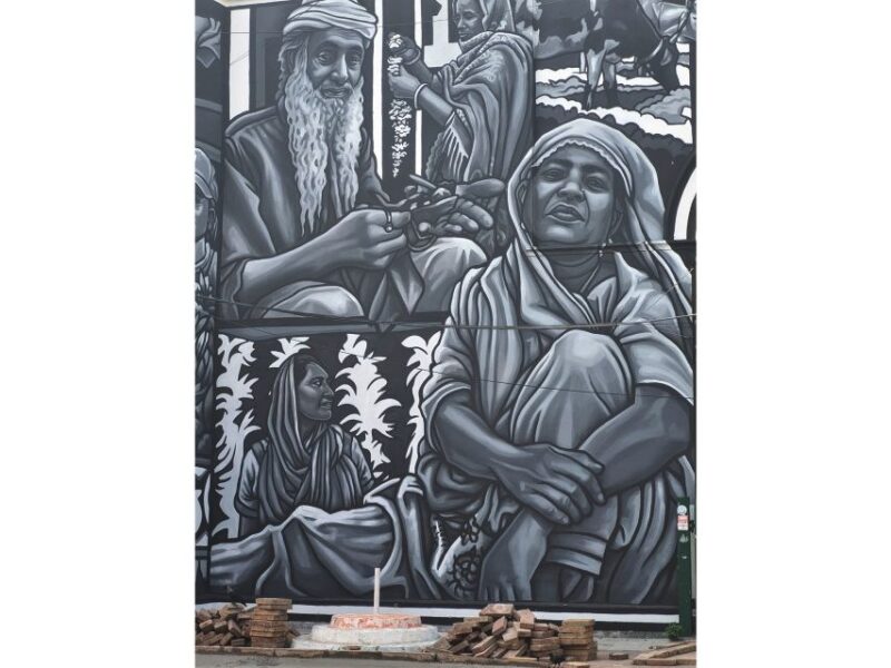 Delhi: Explore Delhis Street Art & Visit to an Art Centre - Unique Structures to Explore