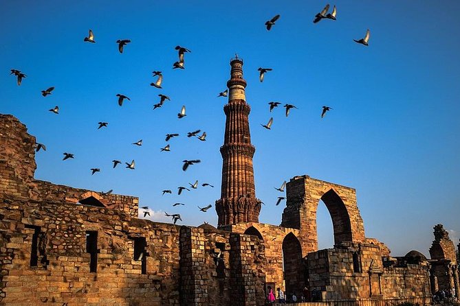 Delhi Sightseeing Private Tour - Positive Traveler Reviews