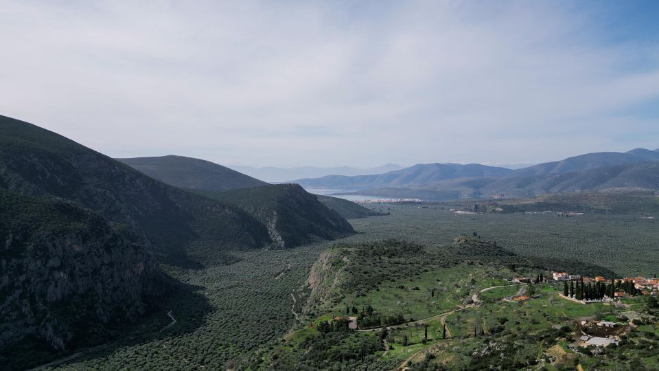 Delphi: Easy Hike on Ancient Path Through the Olive Groves - Inclusions