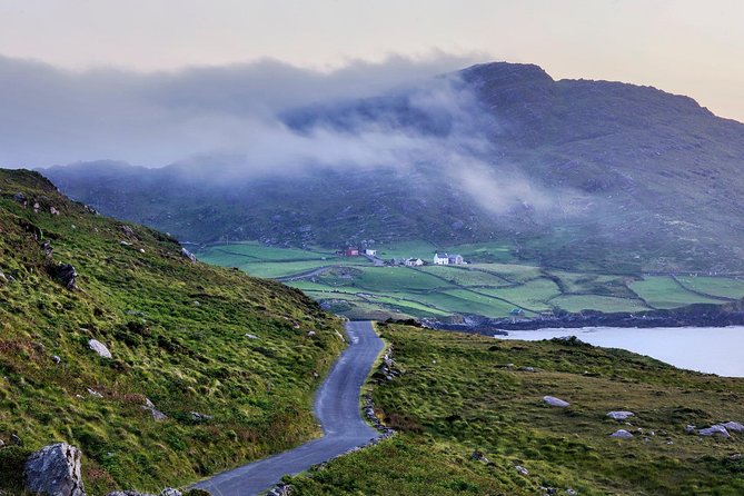 Dingle Peninsula & Slea Head Private Day Tour - Fahan Beehive Huts