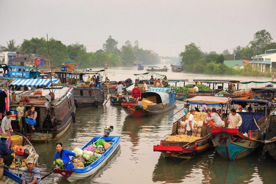 Discover Classic Mekong Delta 1 Day Tour - Honey Bee Farm and Tropical Fruits