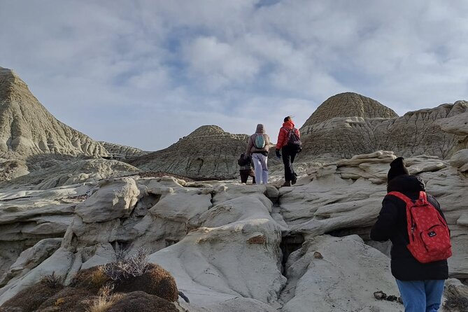 Discover La Leona Petrified Forest: Guided Hiking Tour - Exploration of the Petrified Forest
