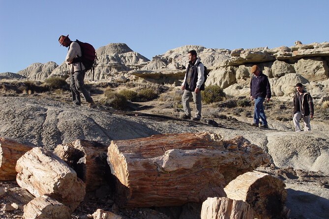 Discover La Leona Petrified Forest: Guided Hiking Tour - Scenic Views and Natural Wonders