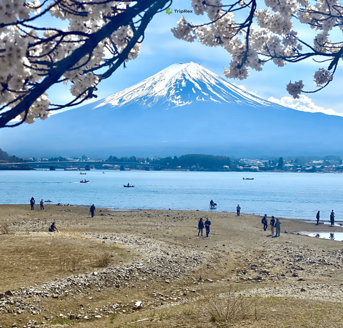 Discover Mount Fuji: Private Car/Van Day Tour From Tokyo - Participant Information