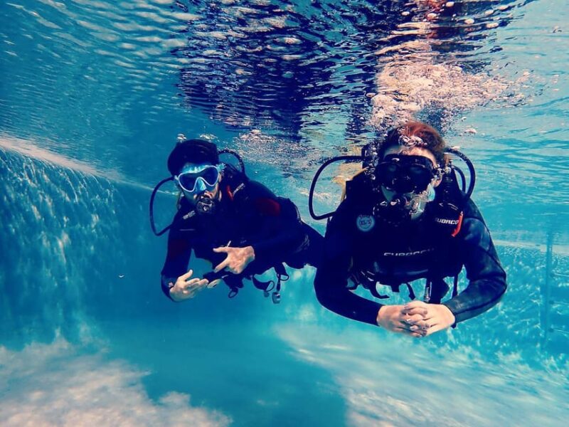 Discover Scuba Diving Experience - Marine Life Encounter