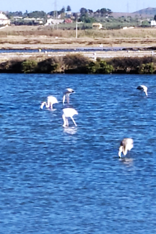 Discover Trapanis Saltpans With an E-Bike Tour - Gear and Rental Details