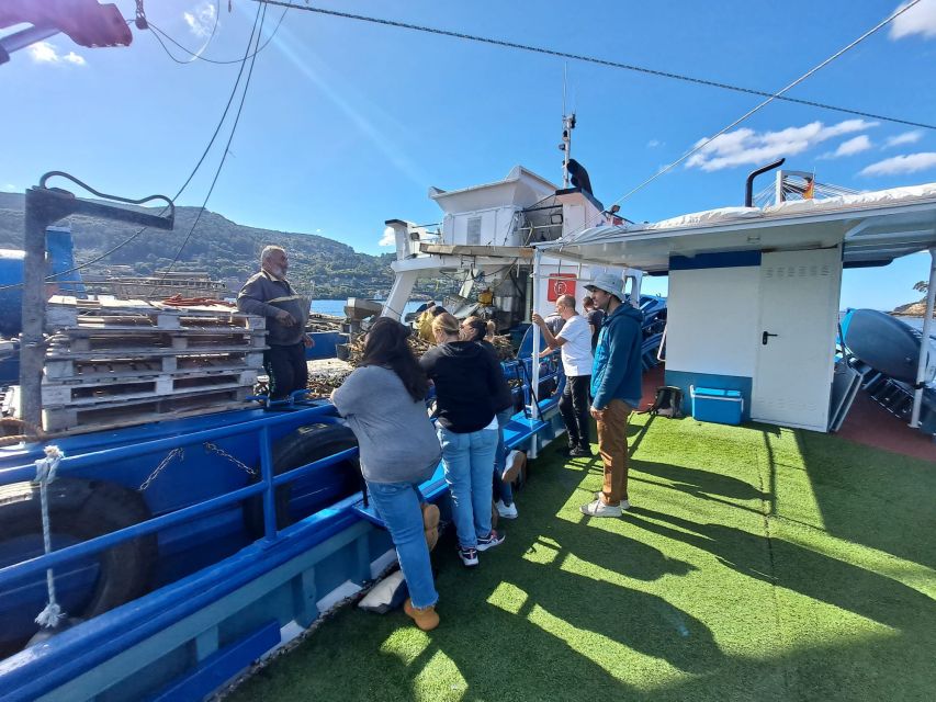 Discovering Vigo Ria and Mussels in the Traditional Boat - Accessibility