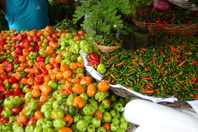 Discovery of Salvador De Bahia - Full Day - Local Cuisine Exploration