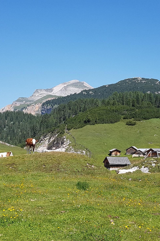 Dolomites: Day Excursion in the Heart of the Dolomites - Discovering the Alpine Village Charm