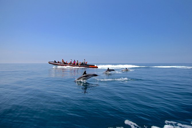 Dolphin Watching and Cave Tour From Vilamoura - Booking and Cancellation Policy