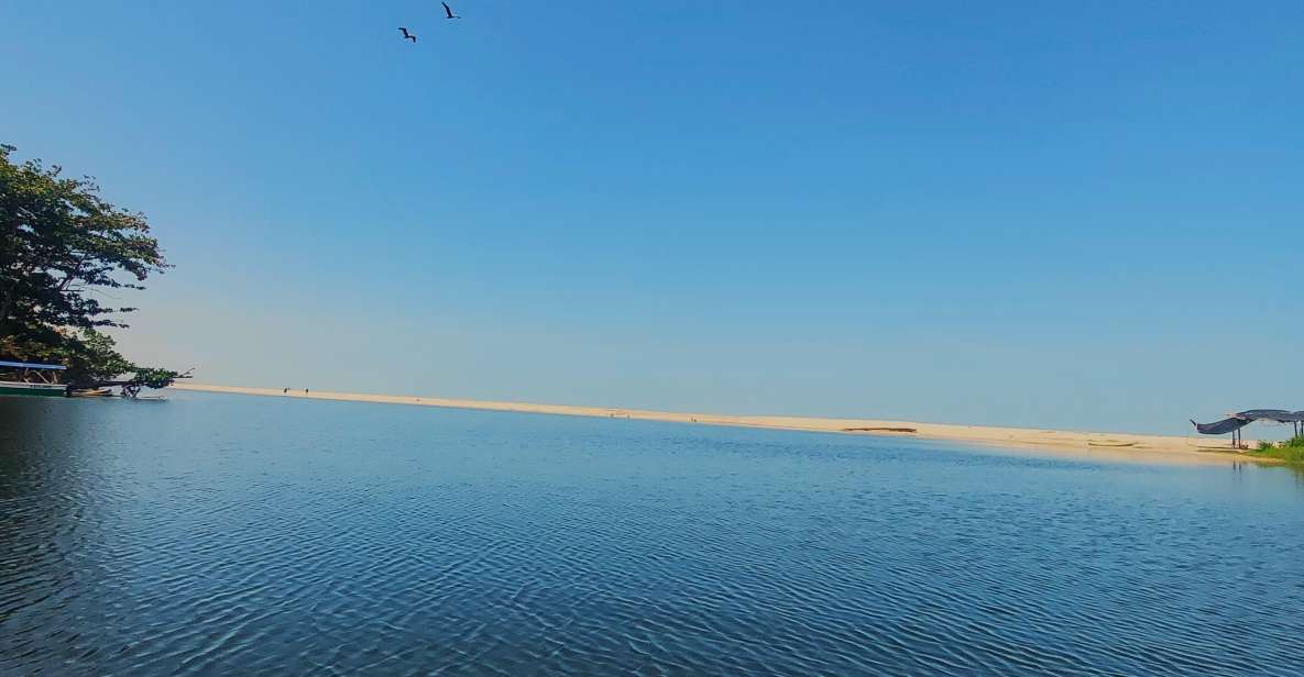 Don Diego River Mouth - Los Cocos Beach - Wildlife and Nature Exploration