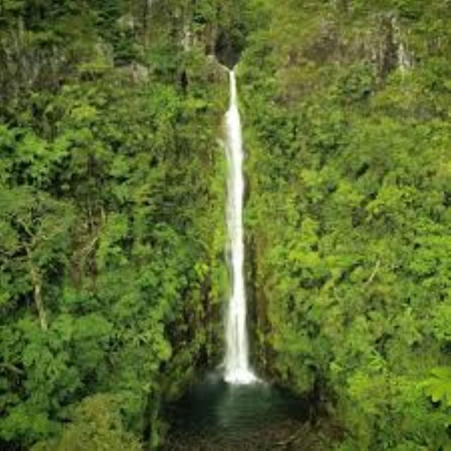 Don Salvador Benedicto: The Cool Mountain Retreat of Negros - Hiking and Outdoor Activities