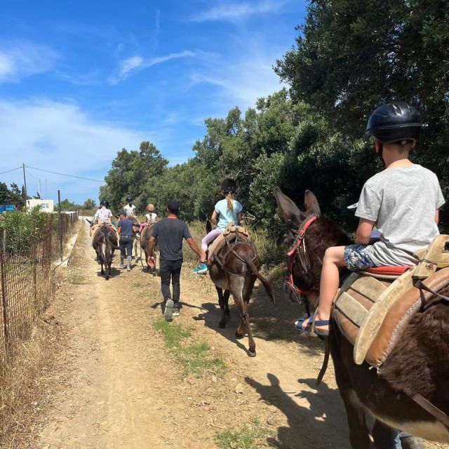 Donkey Riding - Coastline Ride - Booking and Availability