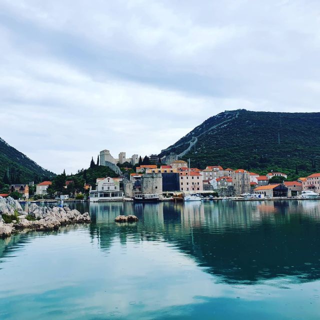 Dubrovnik: Day Trip to 3 Peljesac Wineries With Tastings - Guided Experience