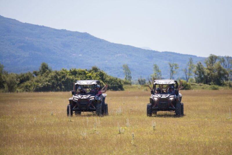Dubrovnik: Kojan Koral Buggy Safari Tour - Customer Feedback