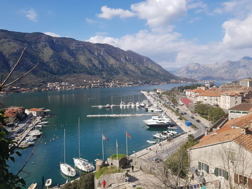 Dubrovnik: Private Tour to Montenegro, Kotor, and Perast - Private Transportation