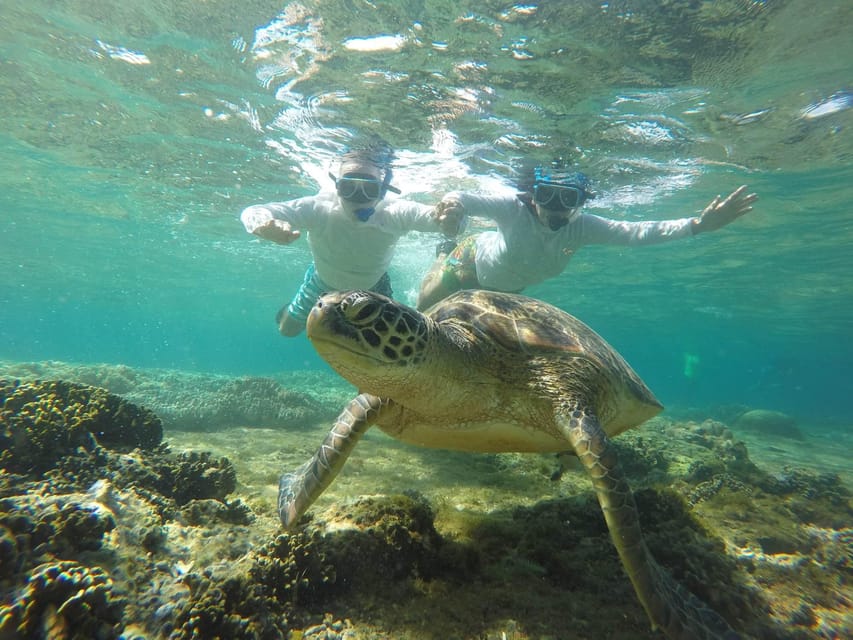 Dumaguete: Apo Island Snorkeling and Hiking Joiners Tour - Included and Excluded Features